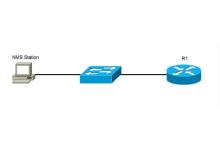 E-Lins industrial routers with NMS